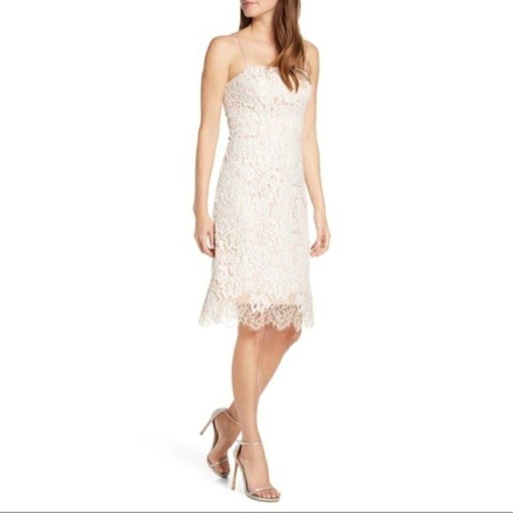 Eliza J Lace Beautiful Dress Size 4